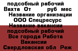 подсобный рабочий . Вахта. От 30 000 руб./мес. › Название организации ­ ООО Спецресурс › Название вакансии ­ подсобный рабочий - Все города Работа » Вакансии   . Свердловская обл.,Реж г.